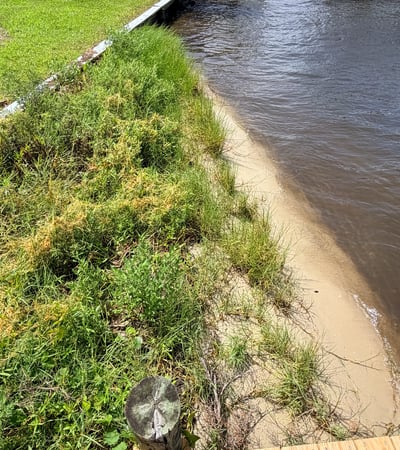Waterfront property featuring a spacious yard with natural vegetation, ideal for outdoor activities and relaxation.