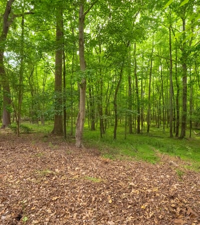 1800 Chestnut Lane, Matthews, NC