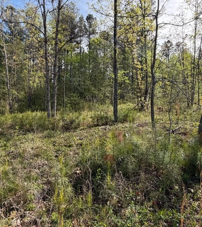 2125 Hwy 247, Belton, SC