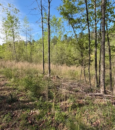 2125 Hwy 247, Belton, SC
