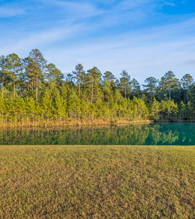 1156 Parrot Avenue, Hardeeville, SC