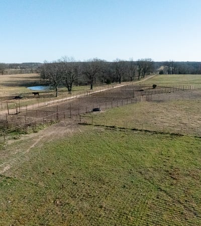 More cattle pens on the north end. Looking south