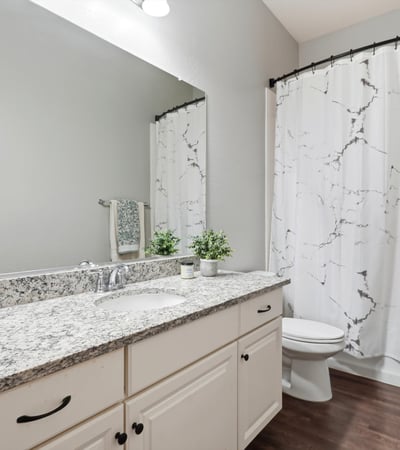 1246 W Spine Tree Ave, Queen Creek, AZ