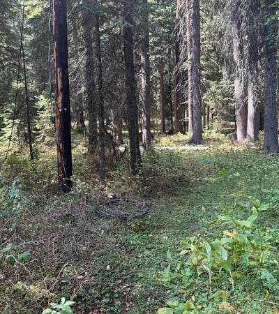 2325 W Mountain Road, Donnelly, ID