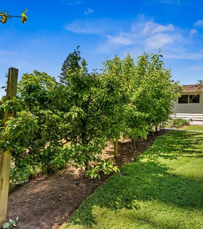 10100 SE Walnut Drive, Happy Valley, OR