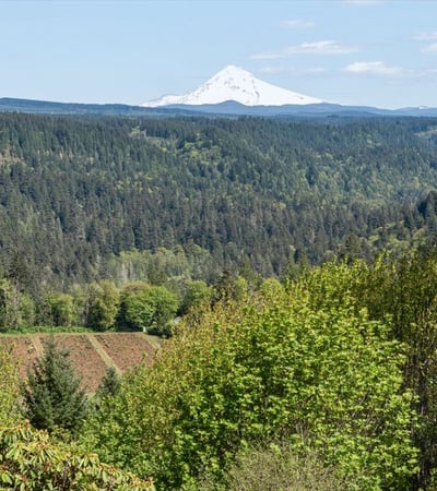 7428 SE Cottrell Rd, Gresham, OR