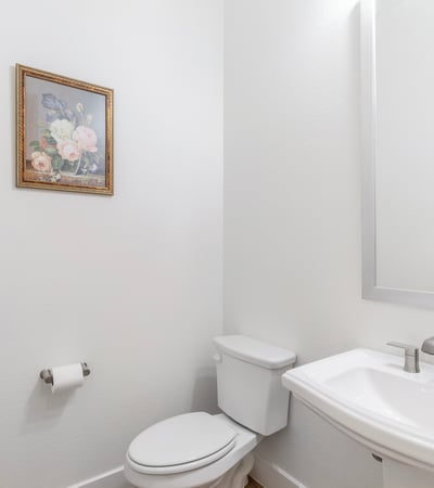 4309 Double Diamond Drive, Prosper, TX