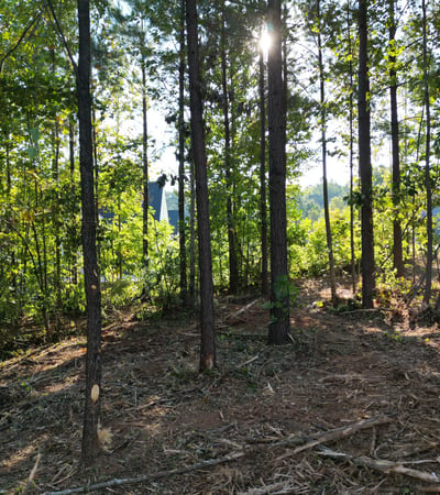 133 Addison Emory Lane, Mooresville, NC