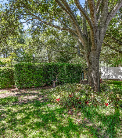 33441 Irongate Drive, Leesburg, FL
