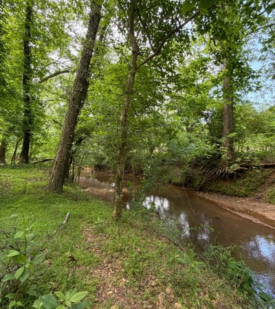 The Little River forms the natural border at the back of the property, creating a peaceful wooded backdrop and a rare sense of privacy. It s the kind of setting that makes the acreage feel even more special quiet, natural, and beautifully connected to the land.