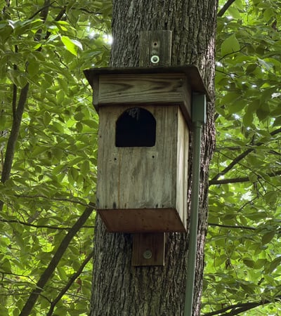 A truly special piece of the property s story: this barred owl nesting box has welcomed nesting owls almost every year for the past 16 years, with babies often making their spring debut. A webcam offers a front-row view of this quiet backyard tradition one more way this home feels connected to nature.