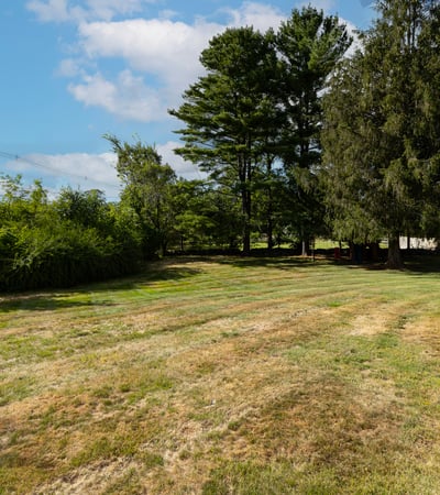 Spacious yard with mature trees, offering ample room for outdoor activities and gardening possibilities.