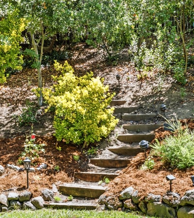 507 Raven Place, Clayton, CA