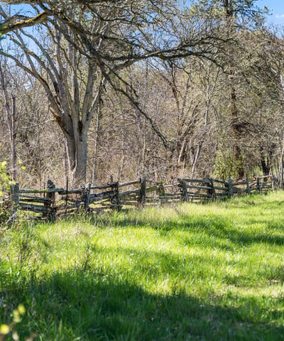 Buckhorn Road #1000, Ashland, OR