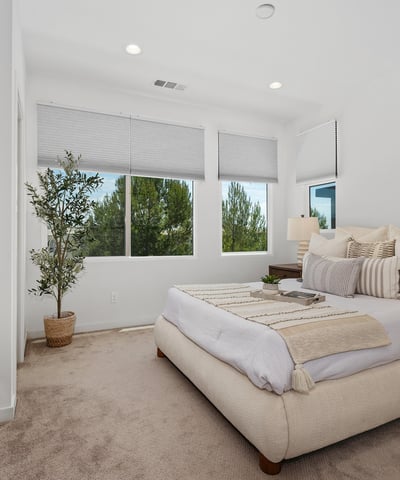 250 Novel, Irvine, CA