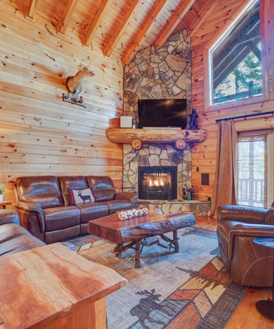 138 Lucius Lane, Cherry Log, GA