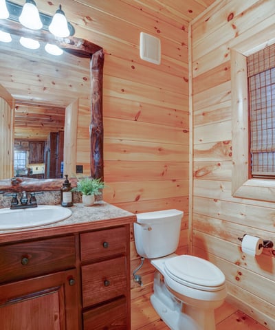 138 Lucius Lane, Cherry Log, GA