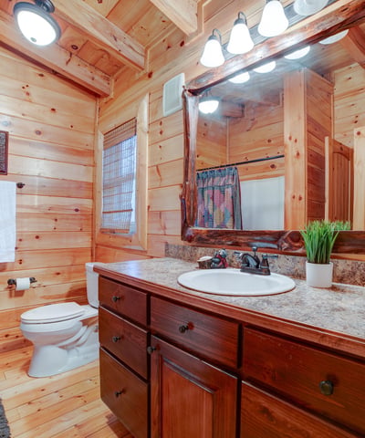 138 Lucius Lane, Cherry Log, GA