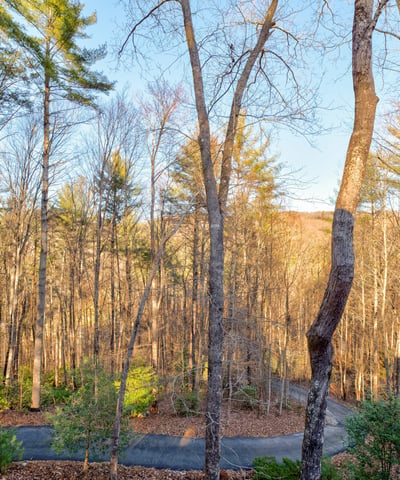 138 Lucius Lane, Cherry Log, GA