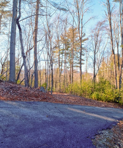 138 Lucius Lane, Cherry Log, GA