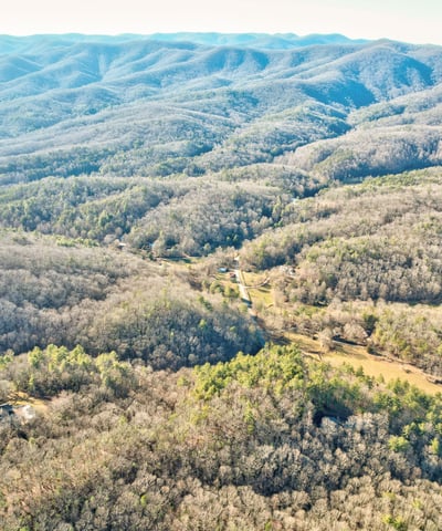 138 Lucius Lane, Cherry Log, GA