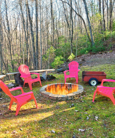 138 Lucius Lane, Cherry Log, GA