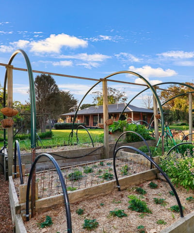 Lush vegetable garden with arched trellises, offering a unique outdoor oasis for gardening enthusiasts.
