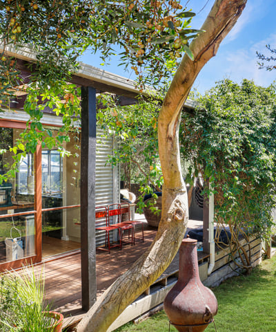 Bright and inviting home featuring expansive outdoor space and modern design, perfect for relaxed living.