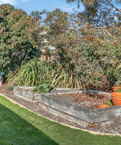 Lush garden area featuring raised beds and vibrant foliage, perfect for gardening enthusiasts and outdoor lovers.