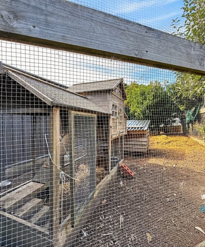 Explore this unique property featuring an expansive outdoor area with poultry housing and ample space for gardening.