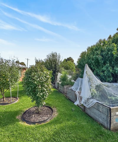 This property features a spacious garden with productive vegetable beds and diverse fruit trees.