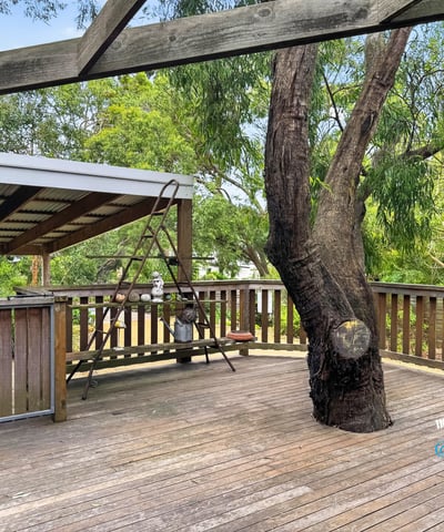 Spacious deck surrounded by lush greenery, perfect for outdoor gatherings and relaxation in nature.