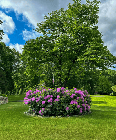 Pastures Lane, New Canaan, CT