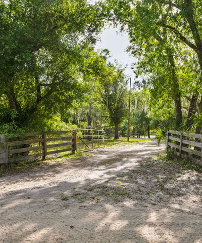 8096 SW Golden Glade Ave, Arcadia, FL