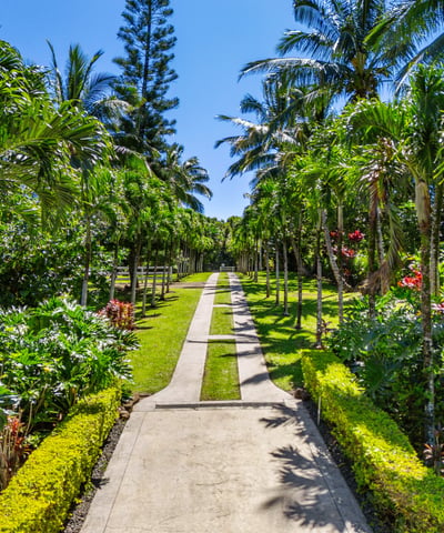 65 N Holokai Rd, Haiku, HI