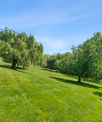 433 Heights Drive, Gibsonia, PA