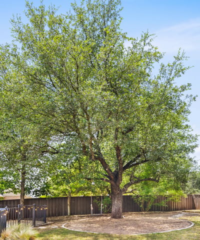 8912 Geranium Cove, Austin, TX