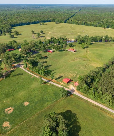 Expansive acreage features lush landscapes, multiple structures, and endless possibilities for custom development or recreation.