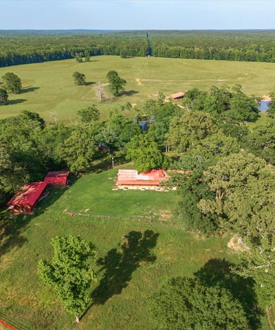 Expansive rural property featuring large open fields, mature trees, and a tranquil pond for outdoor enjoyment.