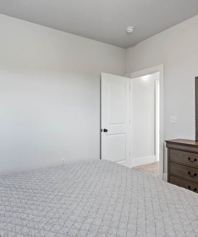 Bedroom with Walk-in Closet