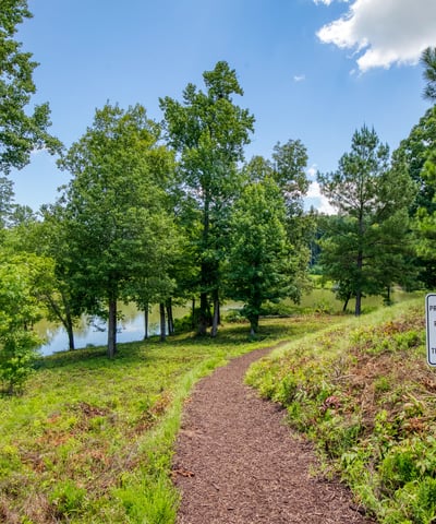 4120 Talavera Drive, Cumming, GA