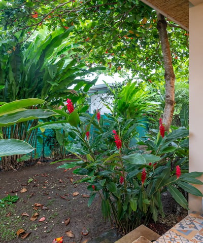 Your Private Paradise in Playa Hermosa, Hermosa, Costa Rica