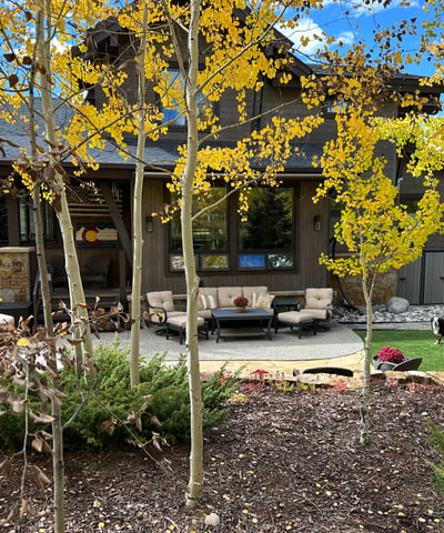 240 Game Trail Road, Silverthorne, CO
