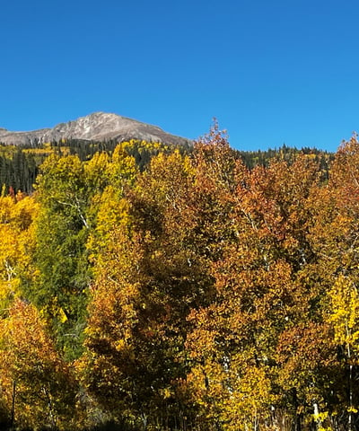 240 Game Trail Road, Silverthorne, CO