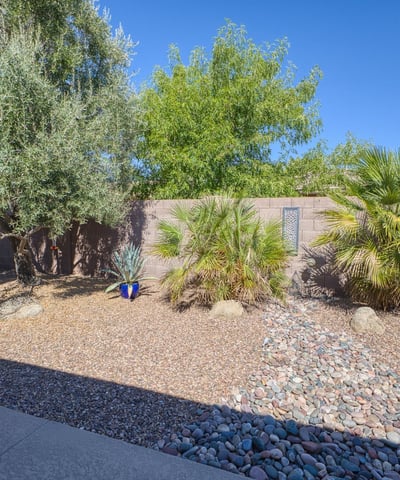 Thoughtfully landscaped with mature trees and desert plants, this backyard offers beauty and privacy with minimal upkeep.