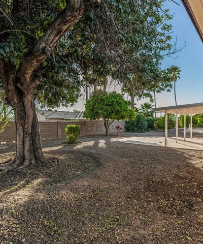 Generous backyard with covered patio and established landscaping. This Sun City home highlights comfortable outdoor living and entertaining potential.