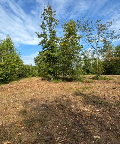 2125 Hwy 247, Belton, SC