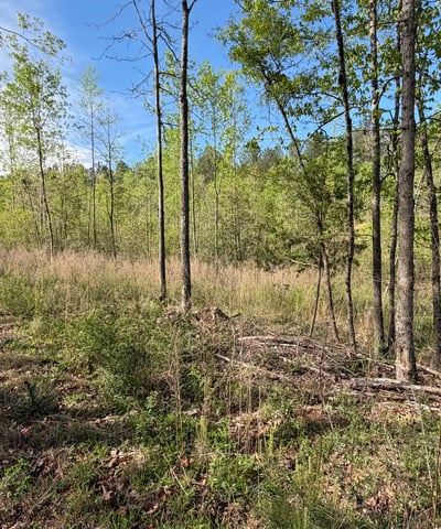2125 Hwy 247, Belton, SC
