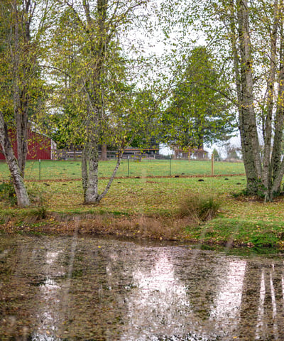 37902 SE Porter Road, Estacada, OR