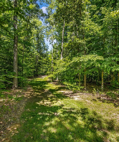 626 Long Meadow Drive, Fredericksburg, VA